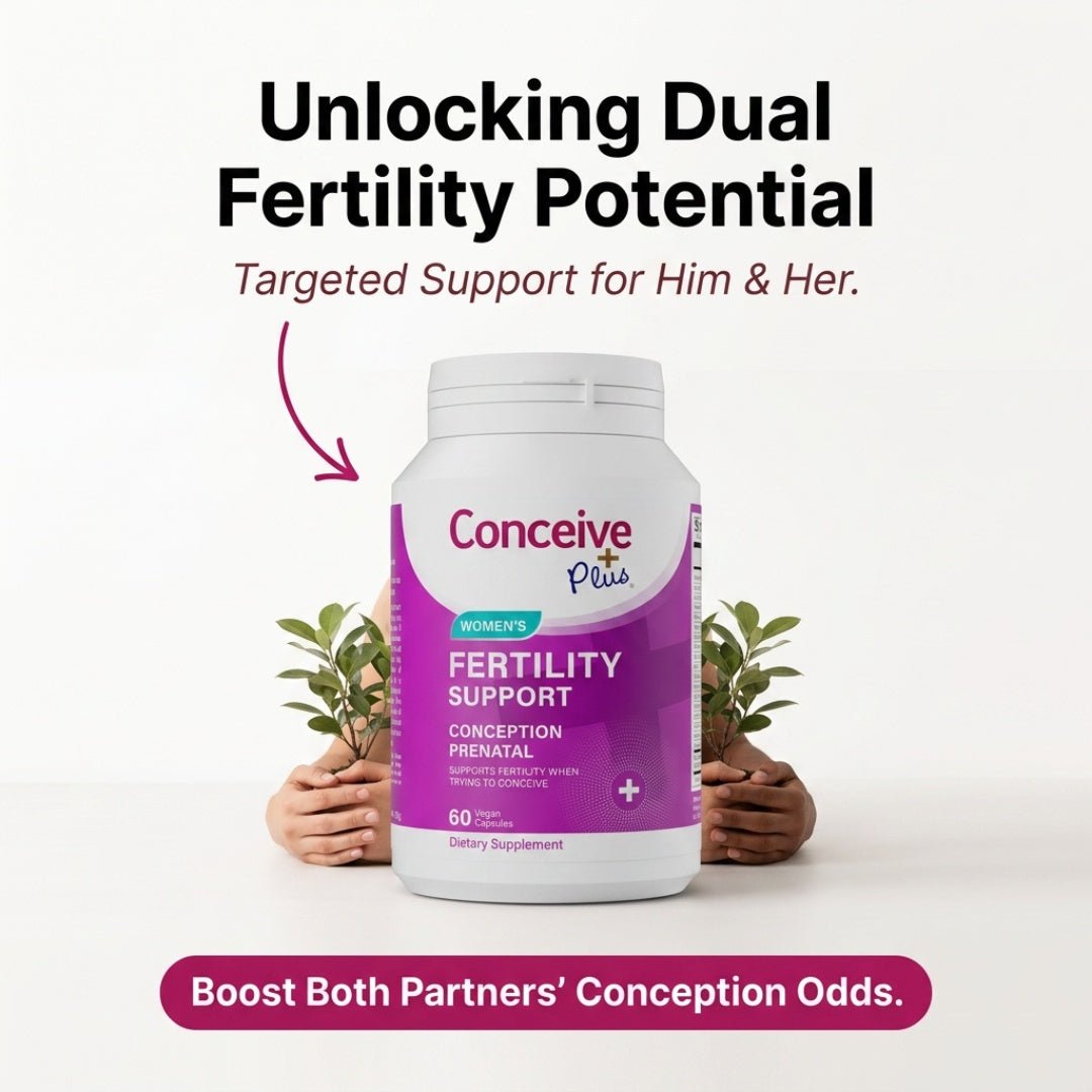 IVF Preparation: A Complete Supplement and Lifestyle Guide for Better Outcomes - Conceive Plus® Europe