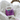 Miscarriage Recovery: Healing Your Body and Preparing for Pregnancy Again in 2026 - Conceive Plus® Europe