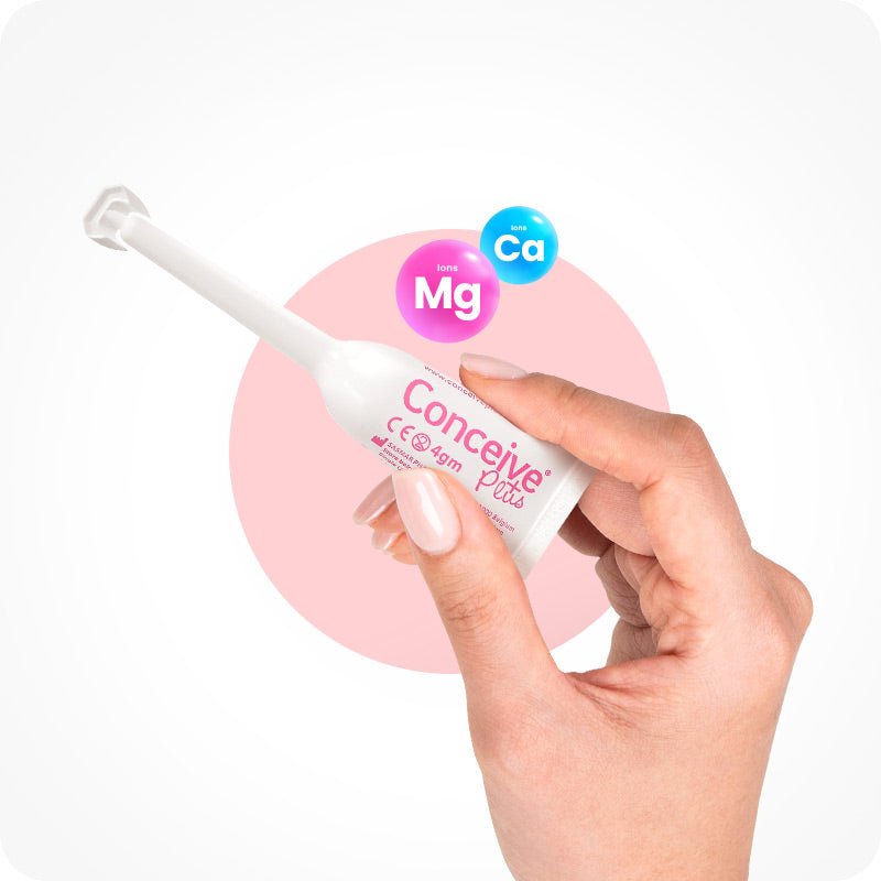 Fertility Lubricant Applicators (ES) - Conceive Plus Europe