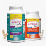 Motility & Ovulation Support (ES) - Conceive Plus Europe